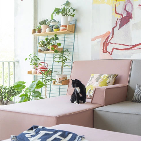 Recamiere in zartem Rosa, kombiniert mit Kissen und Pflanzen in hellem Wohnraum.