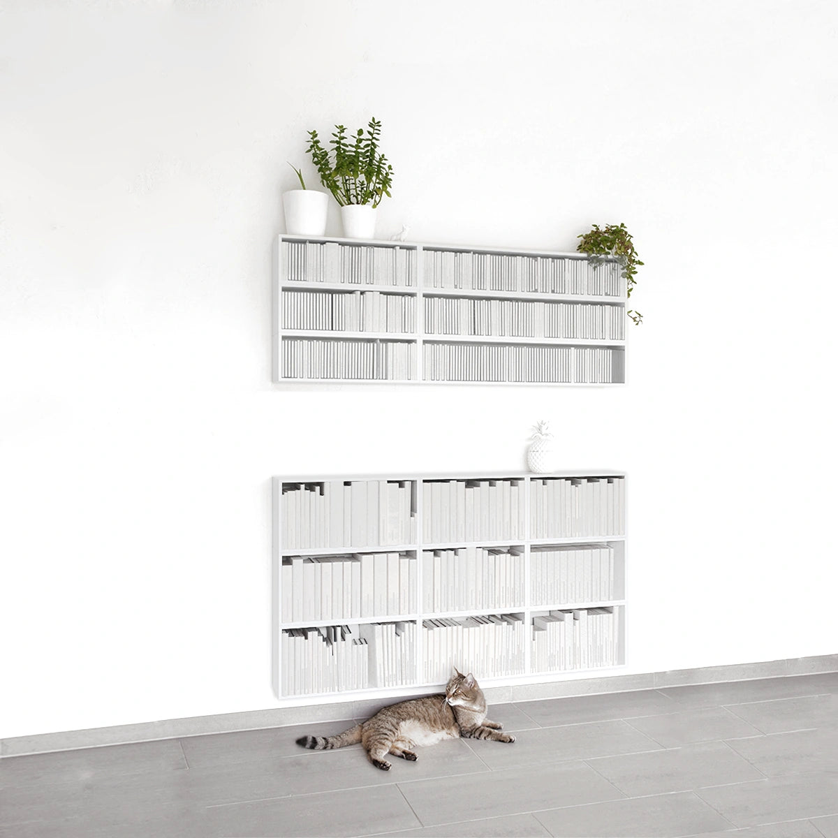 Shelving system RK247 from the right side