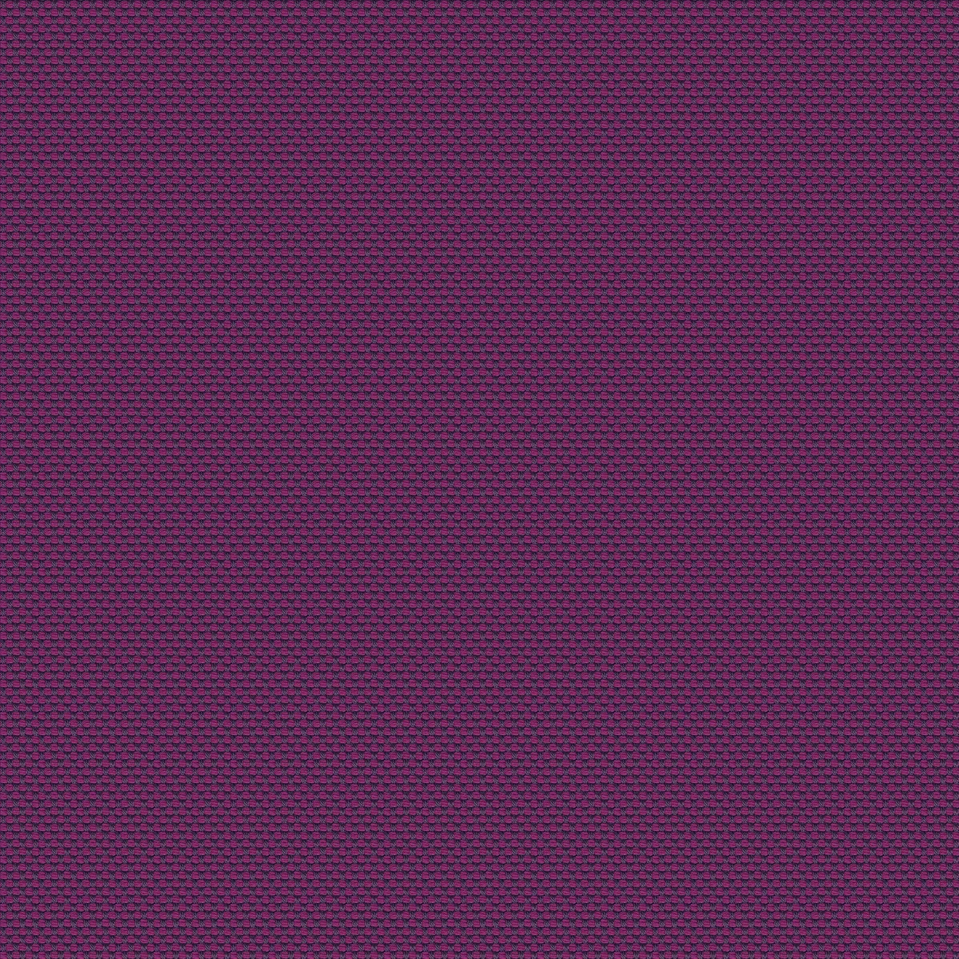 Campione di tessuto Novum Viola Zoom
